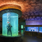 Cylinder Aquarium