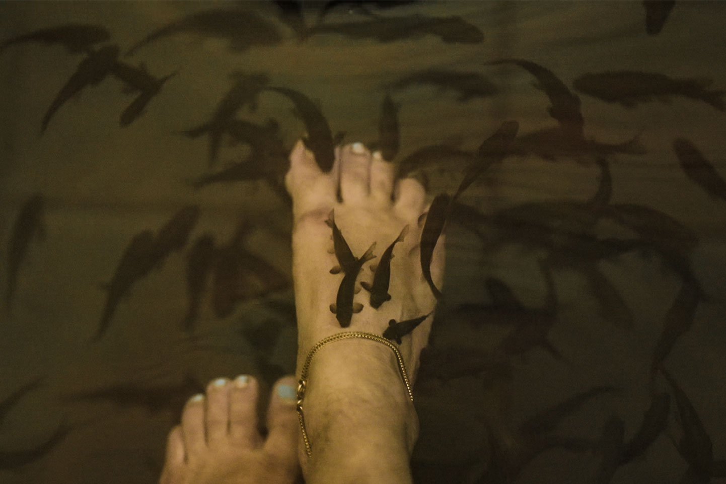 Fish Spa