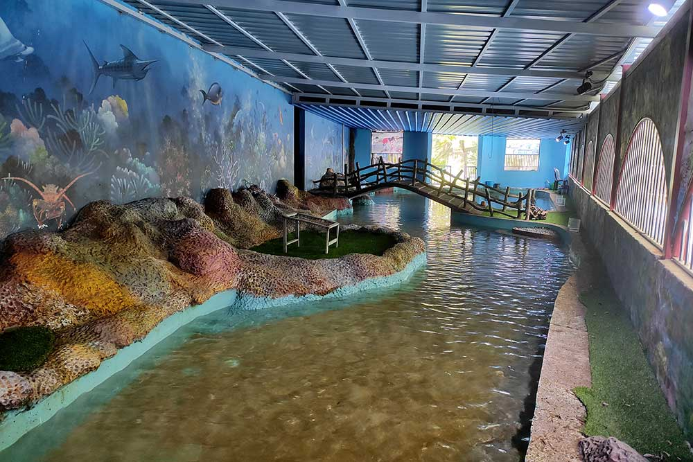 Live Fish Catching