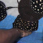 Touch Pool