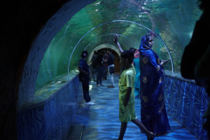 Under Water Tunnel